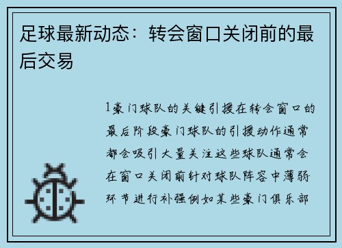足球最新动态：转会窗口关闭前的最后交易